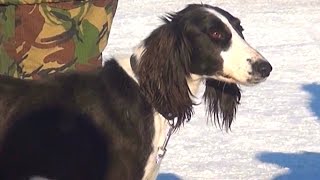 15/02/2016 - Новости канала Первый Карагандинский