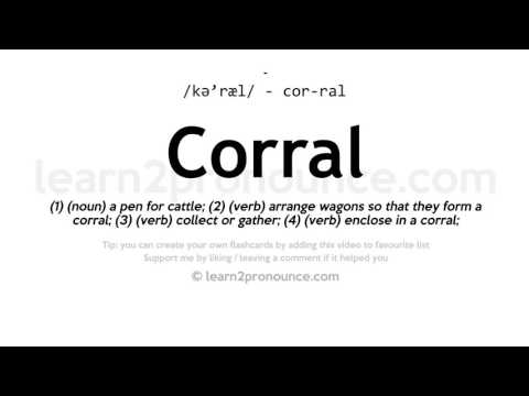 Pronunciation of Corral | Definition of Corral