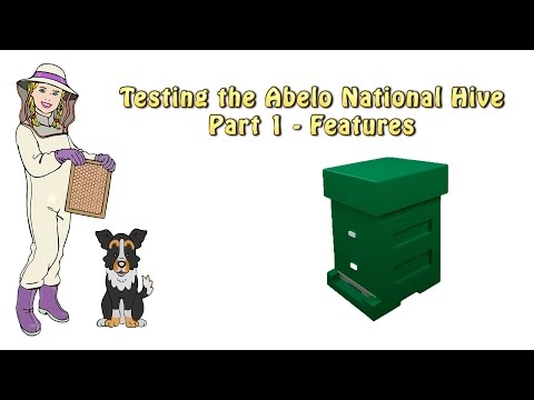 Testing the Abelo Polystyrene Beehive - Overview of Features