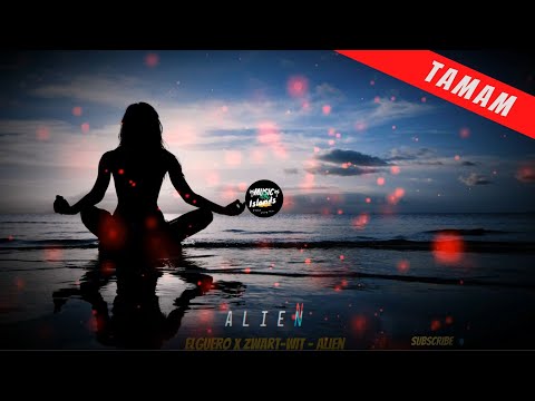 Alien | Elguero x Zwart - Wit
