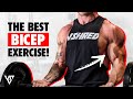 Best Exercise For Bigger Biceps