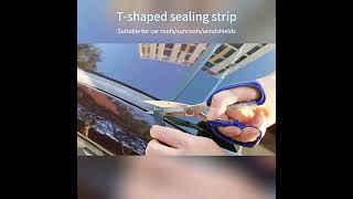 Těsnící lišta do auta – T profil (19 mm × 2 m)
