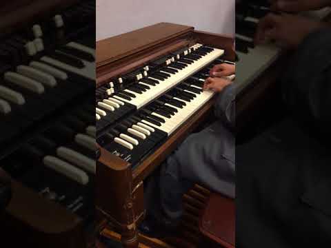 Curtis Danial's on OrgaN