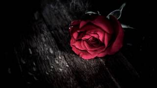 Sturm Und Drang: A Million Nights