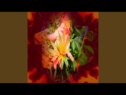 ELA QUER FUMAR DO RUSH