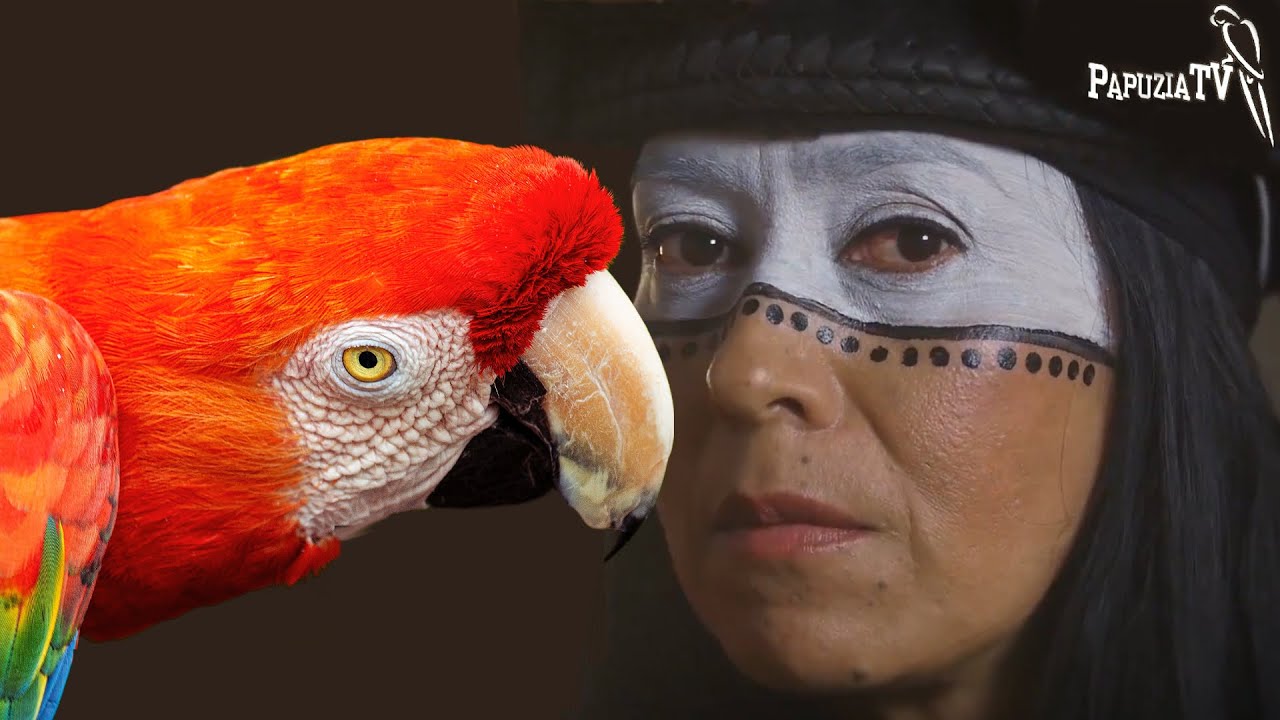 История благополучия попугаев - часть 1