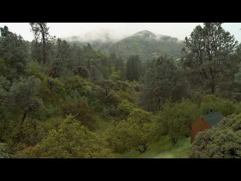 Stemple Pass (2013) — James Benning