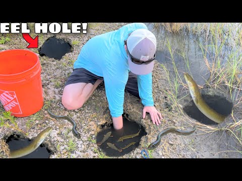 Hand Fishing For EELS in DEEP HOLES!