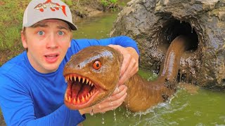 Hand Fishing For EELS in DEEP HOLES!