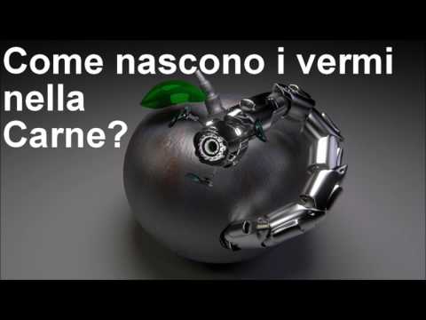 Somiglianza di anime di un parassita Dignità uno spillo su helminths