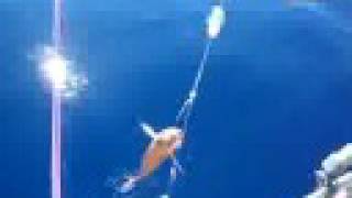 preview picture of video 'Deep Sea Fishing outside of Rethymnon Crete'