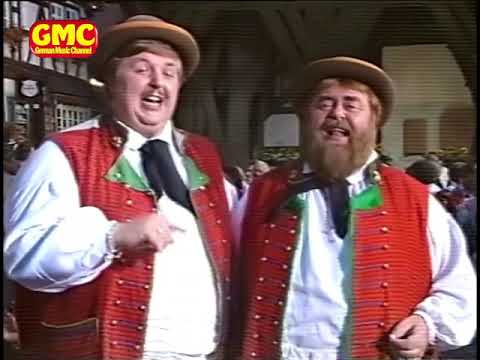 Die Wildecker Herzbuben - Hit-Medley 1994