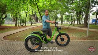 TRICICLO SUPER FAT ELEKTRA 500 | DREAM BIKE