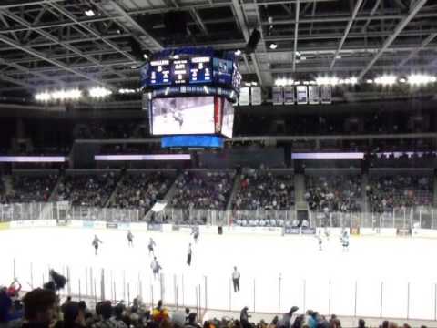 Evansville IceMen - Game-Tying Goal Celebration (12-7-2013)