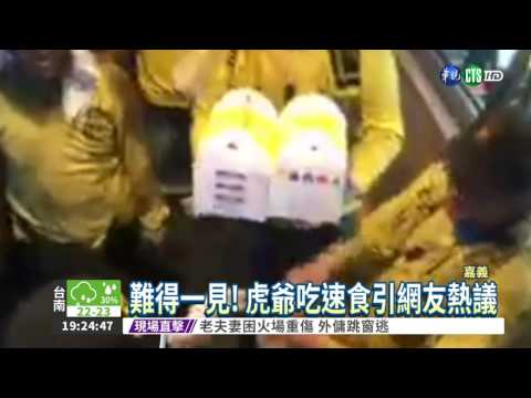 虎爺也愛速食? 神轎走進得來速