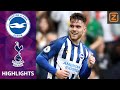 BRIGHTON VERNEDERT TOTTENHAM ?? | Brighton vs Tottenham | Premier League 2019/20 | Samenvatting