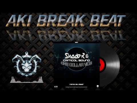 Shade k, Critical Sound - One Dollar Vice (Paket Remix) Danger Sound Records