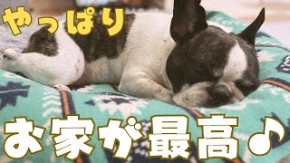 お迎えに行っても気付いてもらえませんでした😭