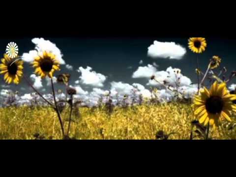 La Mentira de que Jess muri por nosotros Reportaje Religiones celestiales