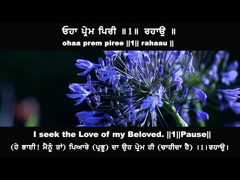 ਓਹਾ ਪ੍ਰੇਮ ਪਿਰੀ  ohaa prem piree -  Bhai Gurpreet Singh Jalandhar