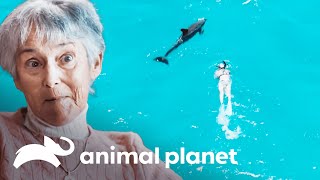 Thumbnail del capítulo