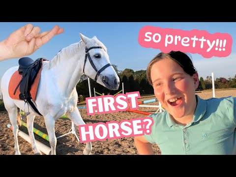 LOOKING FOR MY FIRST HORSE - IS SHE THE ONE?