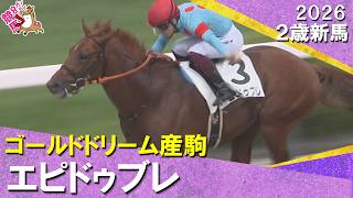 ゴールドドリーム産駒エピドゥブレが断然人気に応えて快勝！高野師「今後も楽しみ」2026年9月12日(土)２歳新馬　阪神ダート1800m　実況：石田一洋【カンテレ公式】