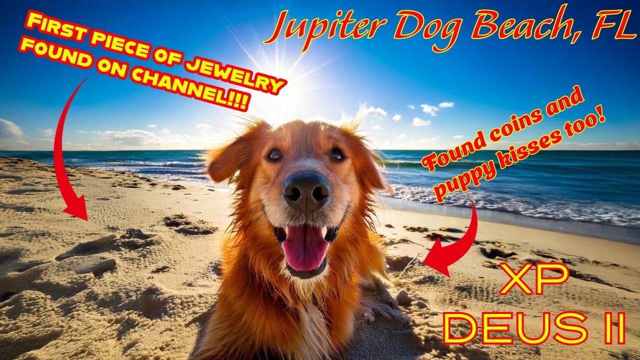First Piece of Jewelry Found On Jupiter Dog Beach Florida Using The XP Deus II 2