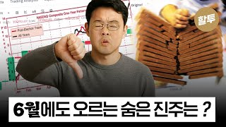 할 수 있다! 알고 투자