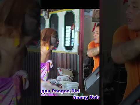 NANGGUNG SEPIKA MAYA GAWAI