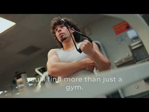 Plan D Productions video.