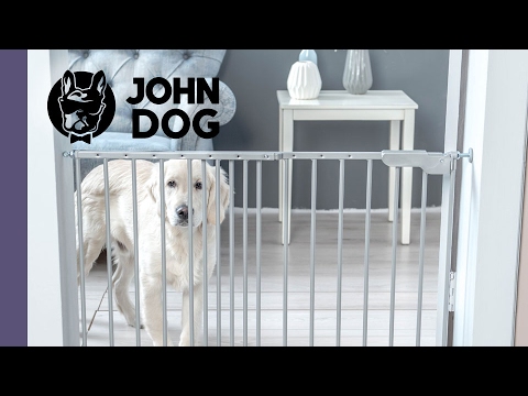 Trening samotności u psa – TRENING PSA – John Dog