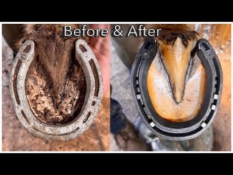 SUPER SATISFYING HOOF RESTORATION