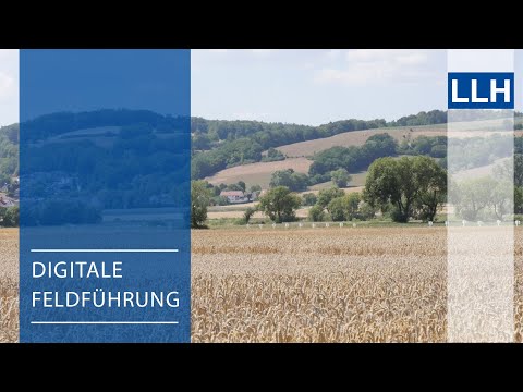 Digitale Feldführung: Winterweizen - Die neuen Sorten im Landessortenversuch