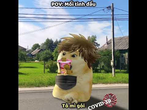 Mối tình đầu | Audio: @Trương mặc  #meme #cheems #doge