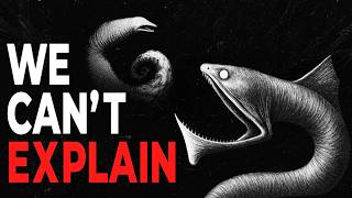 Why Eels Get Creepier the Deeper You Go
