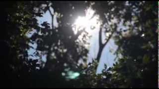 Bright Eyes - When the Curious Girl Realizes She is Under Glass