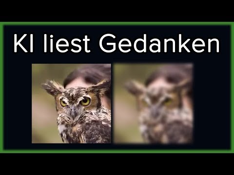 Künstliche Intelligenz erkennt an welches Bild du denkst