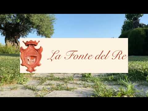 LA FONTE DEL RE, Morro d'Alba (AN)#cinematic #vlog #travelblogger