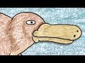 The Loneliest Platypus 