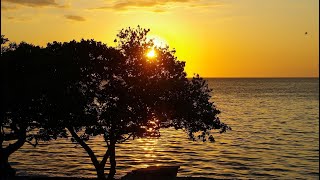 Julio Iglesias/Que Nadie Sepa Mi Sufrir