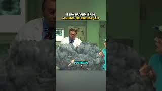 Essa Nuvem é um animal de estimação