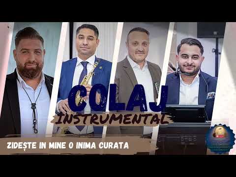 Vasile Mocanu | ZIDEȘTE ÎN MINE O INIMA CURATĂ| Colaj Instrumental, Live 2025.