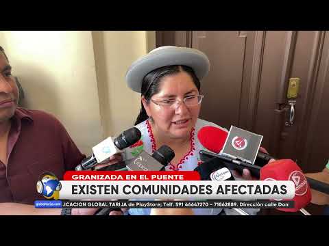 GRANIZADA AFECTA SEMBRADÍOS DE MUNICIPIO DE “EL PUENTE”