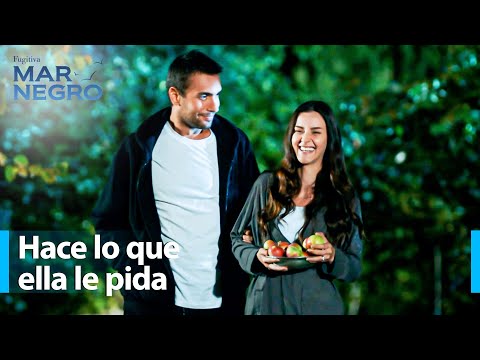 Tahir Climbs Trees to Get Apples for Nefes - Black Sea Chapter 175 | Fugitive