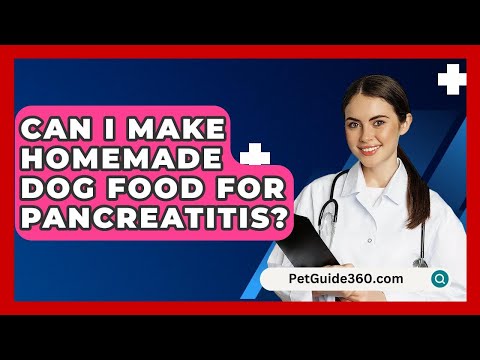 Can I Make Homemade Dog Food For Pancreatitis? - PetGuide360.com