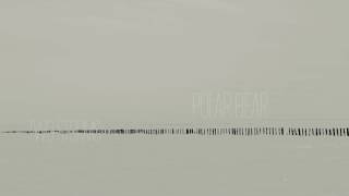 Polar Bear — Two Storms