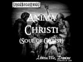 Cradle Catholic - Anima Christi (Soul of Christ ...