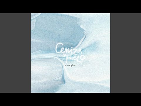 Interludio Cerdo - Shinoflow