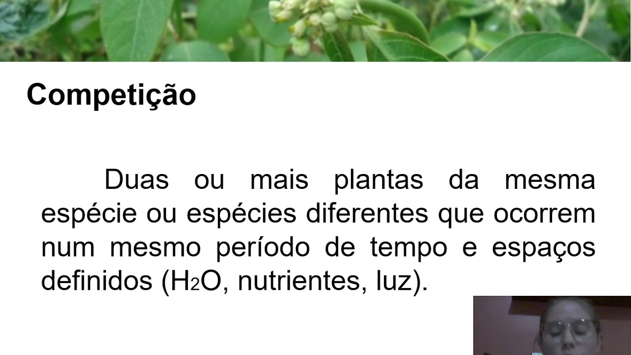 Competição entre as plantas daninhas e as plantas cultivadas